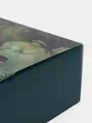 Зеленый коробка подарочная складная для наборов "Present"