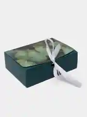 Зеленый коробка подарочная складная для наборов "Present"