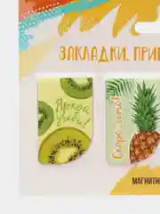 Набор магнитных закладок, 4 штуки