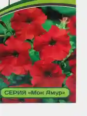 Семена Петуния "Берзе", Партнер