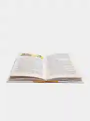 Книга для детей "Чудесная звездочка. Сборник стихов и рассказов"