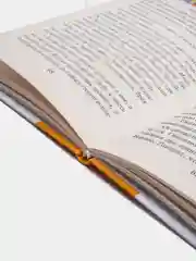 Книга для детей "Чудесная звездочка. Сборник стихов и рассказов"