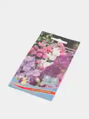 Колокольчик средний Весёлое чаепитие, семена