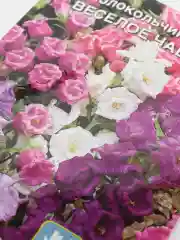Колокольчик средний Весёлое чаепитие, семена