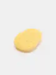 Морской джибитсы