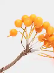 Оранжевый ягодки на веточке