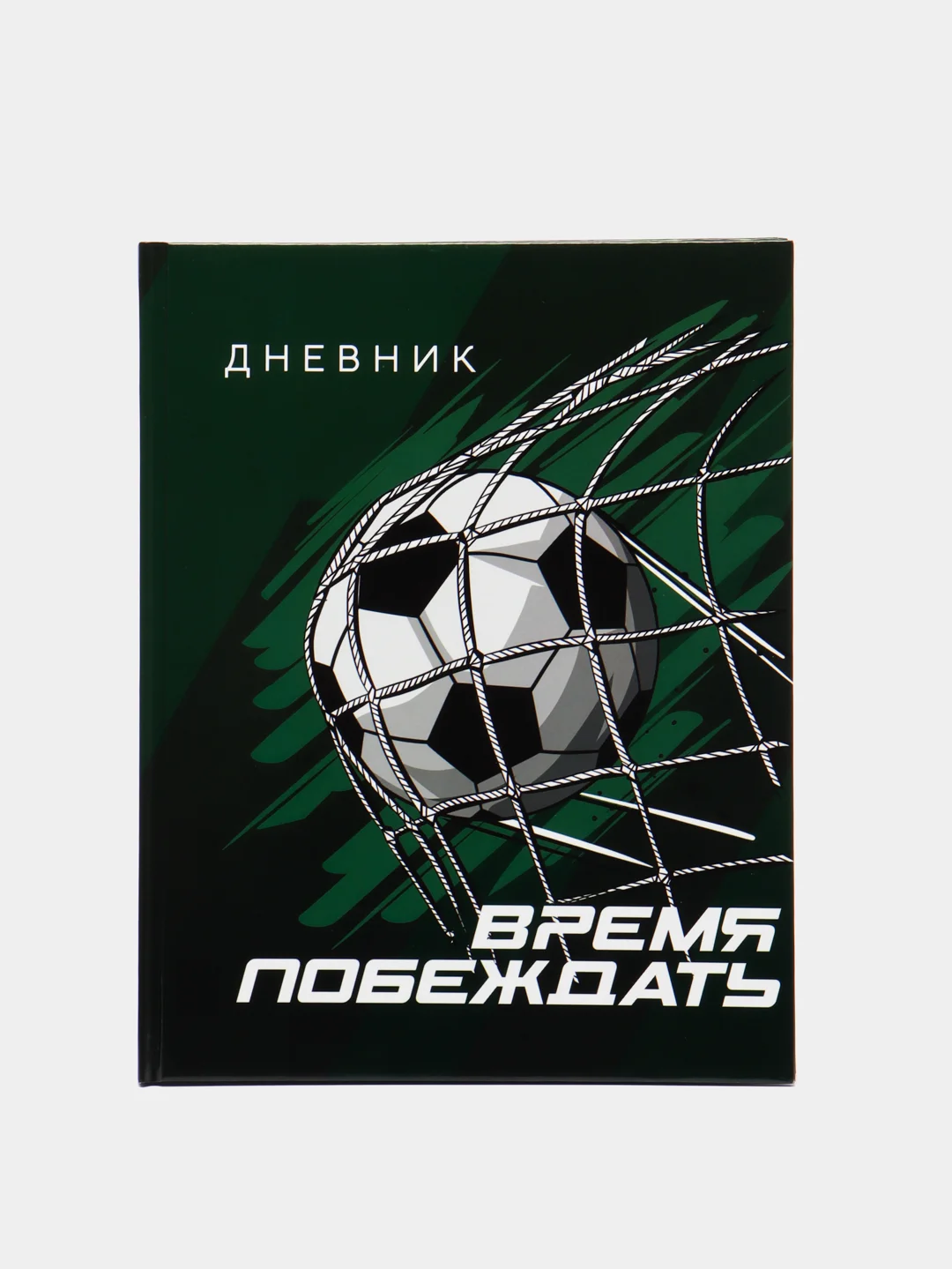 Зеленый школьный дневник для 1-11 класса, 40 листов, А5