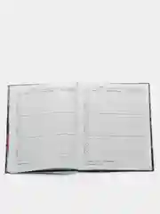 Зелёный хаки школьный дневник для 1-11 класса, 40 страниц, А5