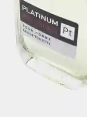 Туалетная вода для мужчин "Pro-Energy Platinum", 100 мл