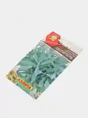 Шалфей Целитель (семена)