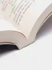 Охота на овец, Харуки Мураками