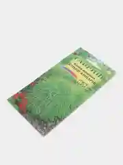 Кохия Летний кипарис, семена