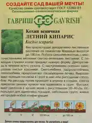 Кохия Летний кипарис, семена
