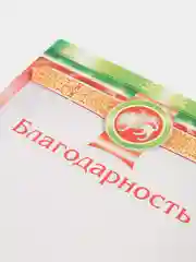 Зелёный хаки почетные грамоты с символикой Татарстана, дипломы, благодарности, А4, 20 штук