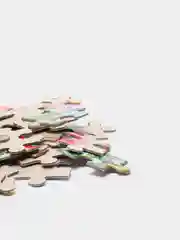 Оливковый пазлы 104 элемента