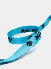Шлейка с поводком для выгула животных