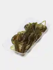 Лесной зеленый твистер LJ PRO SERIES ROCK CRAW