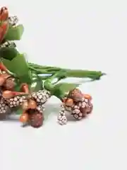 Светло-коричневый тычинки с сахарными вставками в букете