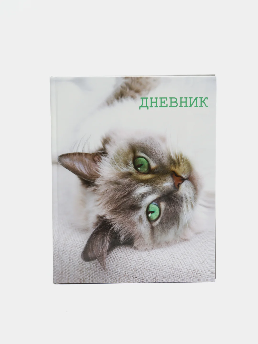 Светло-бежевый школьный дневник для 5-11 класса, А5, 48 листов