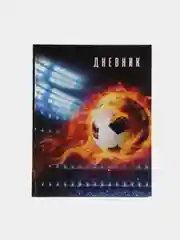 Рыжий школьный дневник для 1-4 класса, 46 вариантов