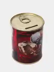 Копилка для денег