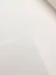 Белый фоамиран иранский