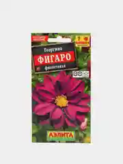 Семена Георгина "Фигаро Фиолетовая"