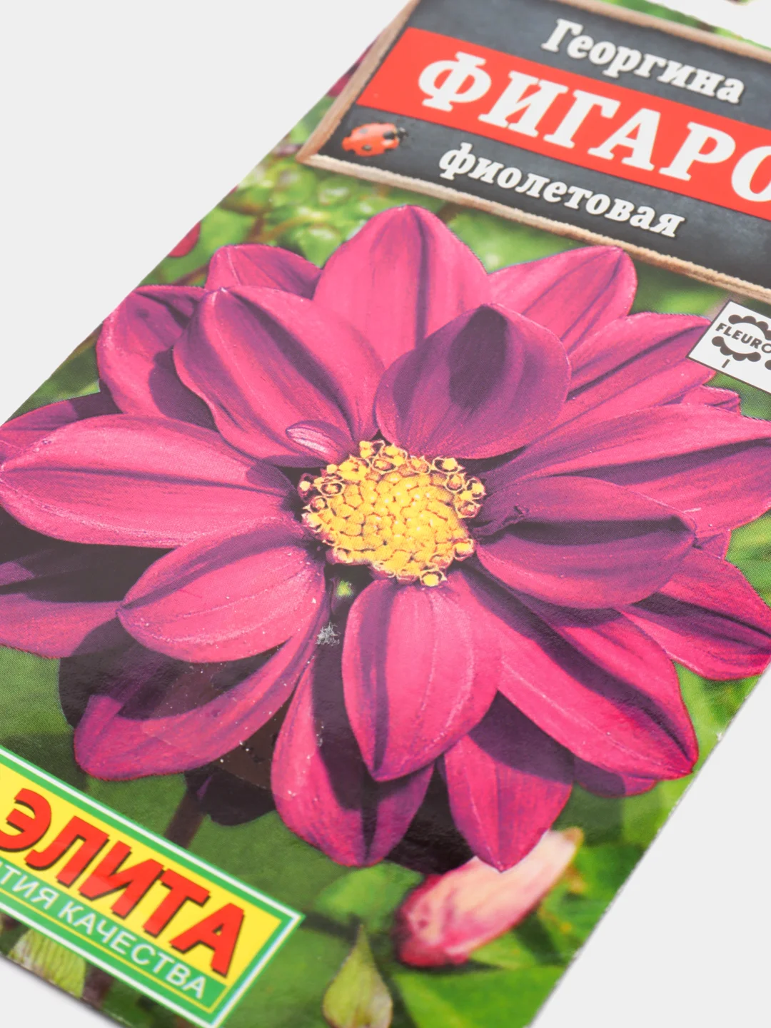 Семена Георгина "Фигаро Фиолетовая"