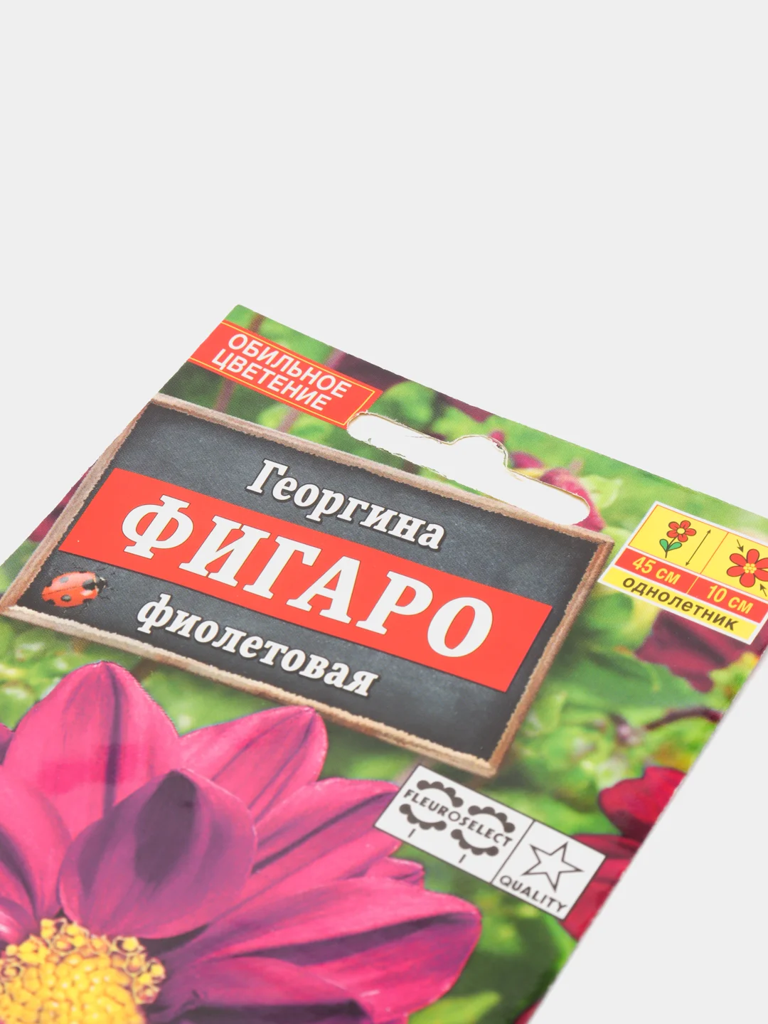 Семена Георгина "Фигаро Фиолетовая"