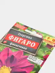 Семена Георгина "Фигаро Фиолетовая"