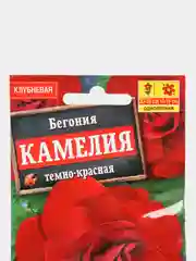 Семена Бегония "Камелия" темно-красная