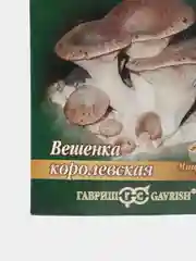 Грибы ВЕШЕНКА КОРОЛЕВСКАЯ мицелий на древесной палочке 12 шт