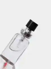 Туалетная вода для мужчин "ТО, ЧЕГО ХОЧЕТ МУЖЧИНА SMIRNOFF PARFUM"