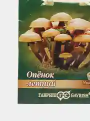 Грибы ОПЁНОК ЛЕТНИЙ мицелий на древесной палочке 12 шт