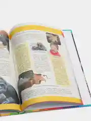 Познавательная энциклопедия "Что? Где? Когда?"