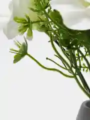 Белый искуственные цветы Фрезии