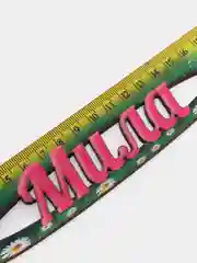 Линейка именная
