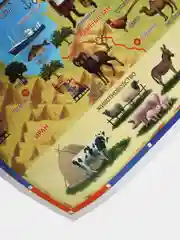 Интерактивная карта России в тубусе