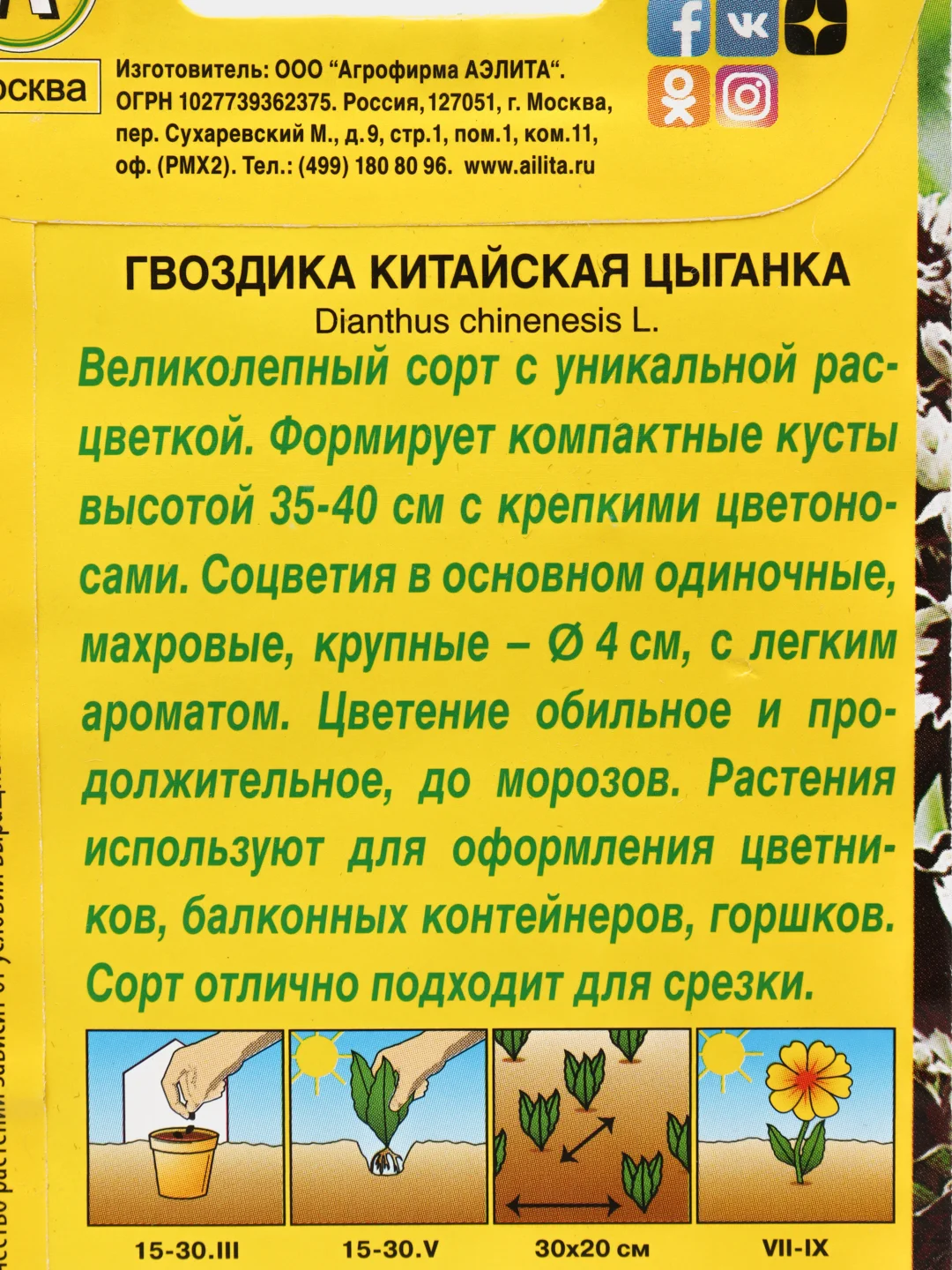 Гвоздика Цыганка китайская (семена,цветы)