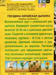 Гвоздика Цыганка китайская (семена,цветы)