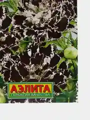 Гвоздика Цыганка китайская (семена,цветы)