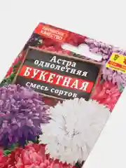 Астра букетная (семена,цветы)