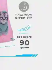Мешок школьный, для сменной обуви, на 6-16 лет, 46 х 33 см
