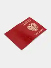 Красный обложка для паспорта, выделанная кожа