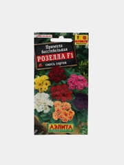 Примула "Розелла F1"(семена,цветы)