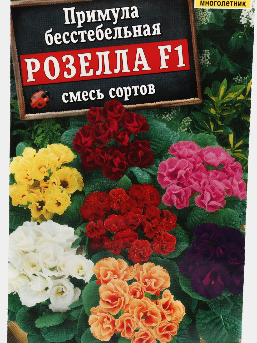 Примула "Розелла F1"(семена,цветы)