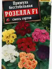 Примула "Розелла F1"(семена,цветы)