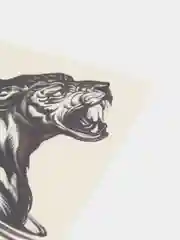Кораллово-розовый временная татуировка, 10,5 х 6 см