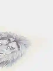 Коралловый временная переводная татуировка, 150 x 210 мм