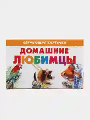 "Домашние любимцы", обучающие карточки на картоне с познавательным текстом